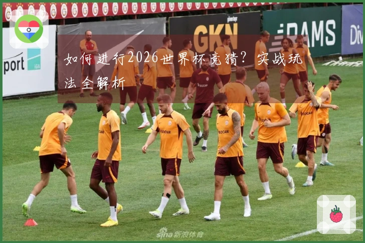 如何进行2026世界杯竞猜？实战玩法全解析