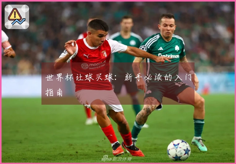 世界杯让球买球：新手必读的入门指南