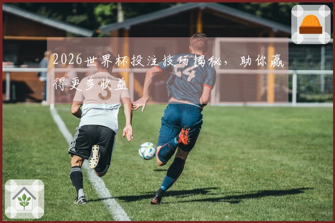 2026世界杯投注技巧揭秘，助你赢得更多收益