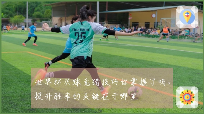 世界杯买球竞猜技巧你掌握了吗，提升胜率的关键在于哪里