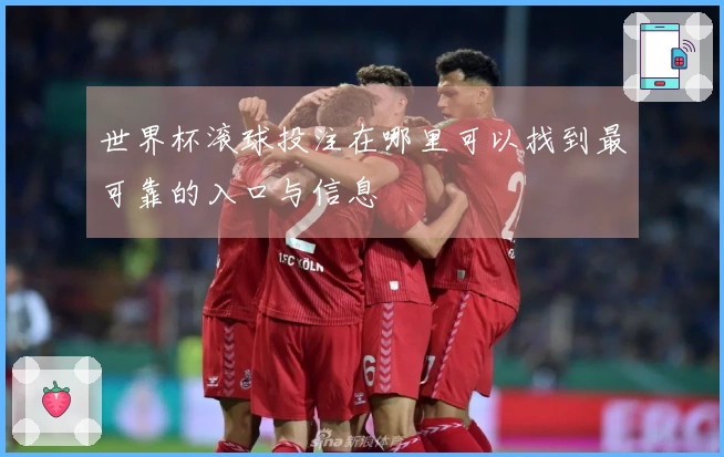 世界杯滚球投注在哪里可以找到最可靠的入口与信息