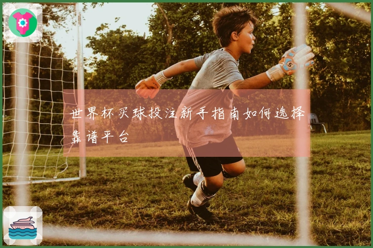 世界杯买球投注新手指南如何选择靠谱平台