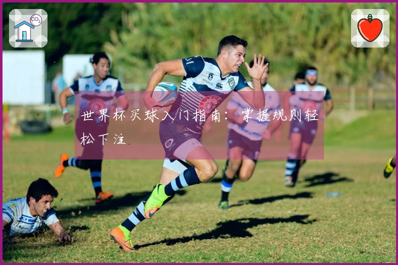 世界杯买球入门指南：掌握规则轻松下注