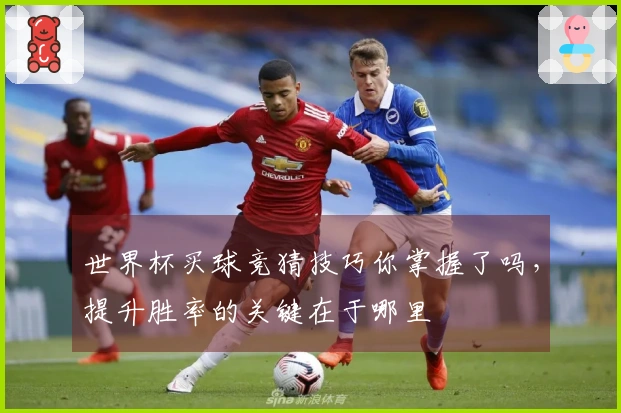 世界杯买球竞猜技巧你掌握了吗，提升胜率的关键在于哪里