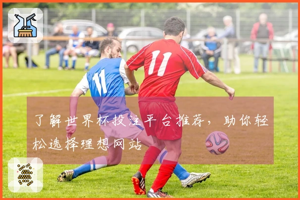 了解世界杯投注平台推荐，助你轻松选择理想网站