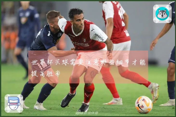 世界杯买球需要注意哪些细节才能提高胜率