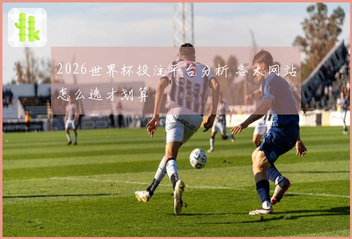 2026世界杯投注平台分析 各大网站怎么选才划算