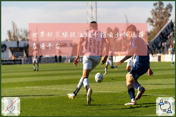 世界杯买球投注新手指南如何选择靠谱平台